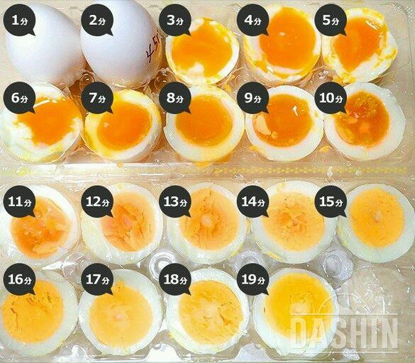 계란 삶는 시간표