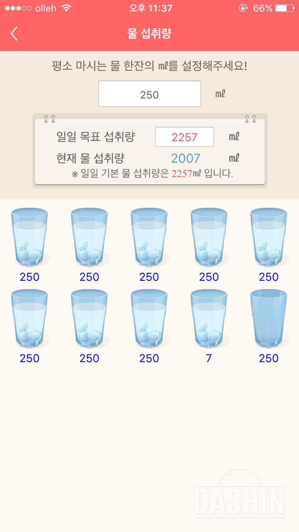 30일 하루 2L 물마시기 6일차 성공!