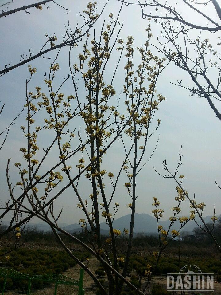 운동하다 봄기운이 상쾌하게만드네용^^