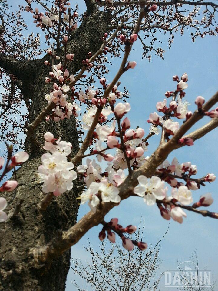 운동하다 봄기운이 상쾌하게만드네용^^