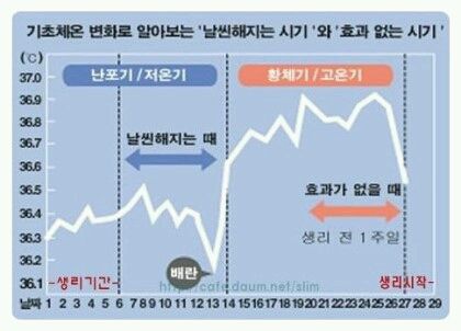 황금기다이어트자극!