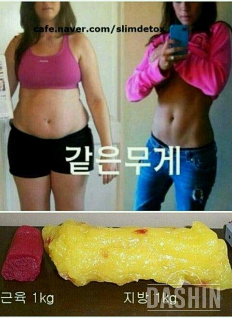 체지방률에 따른 몸의 변화!