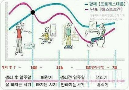 생리주기활용해봅시다:)