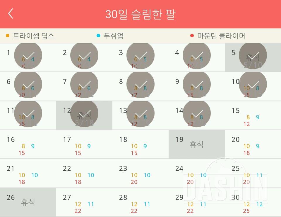 30일 슬림한 팔 14일차 성공!