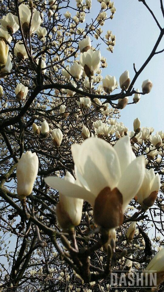 꽃 구경 좀 해 보실래요?