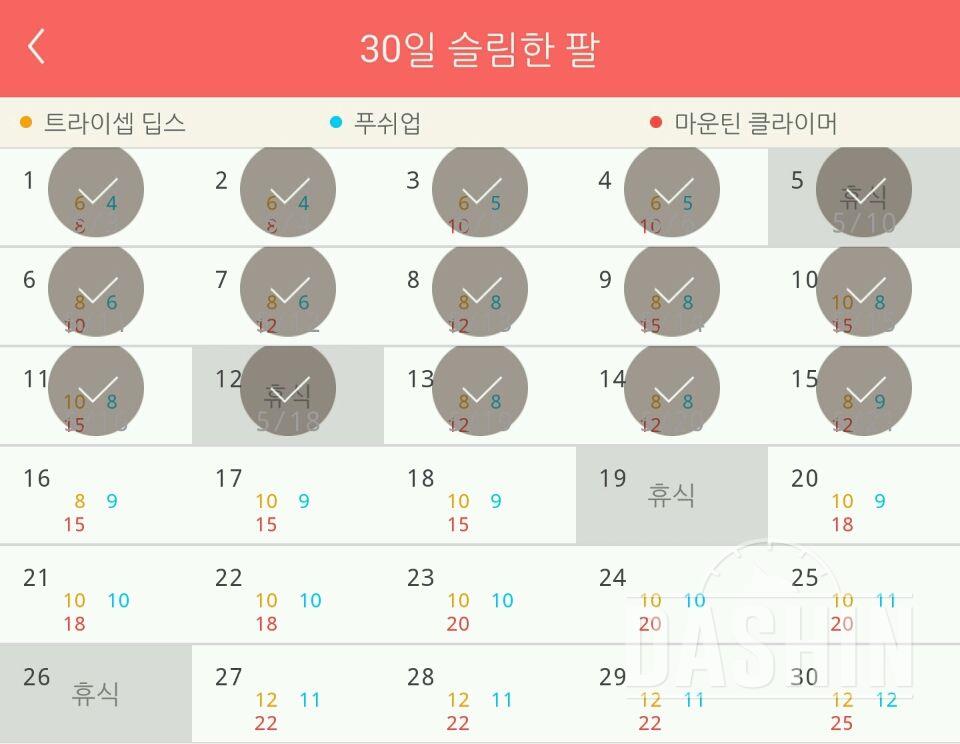 30일 슬림한 팔 15일차 성공!