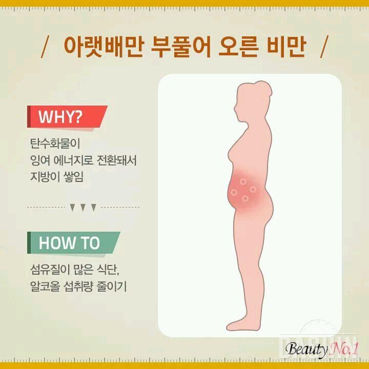 (퍼옴) 살찐부위별 다이어트