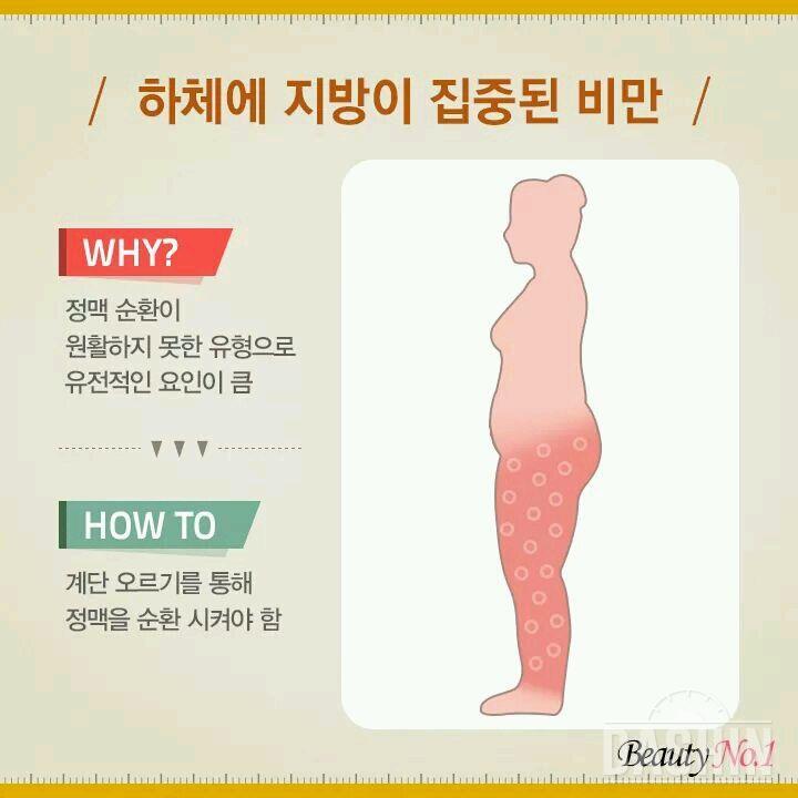 (퍼옴) 살찐부위별 다이어트