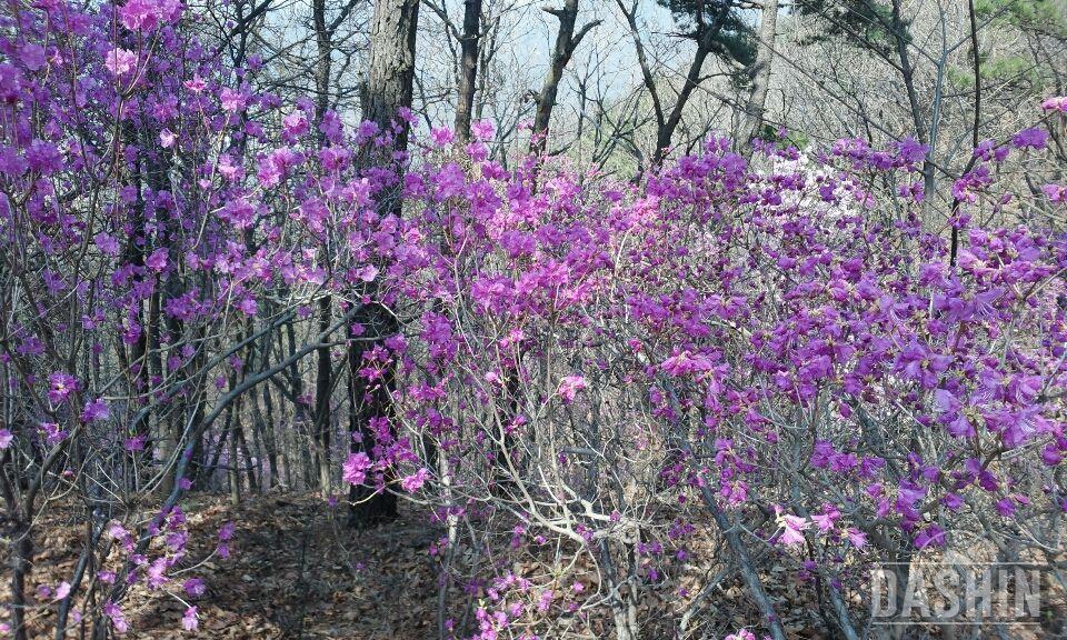 4시간의 산행~