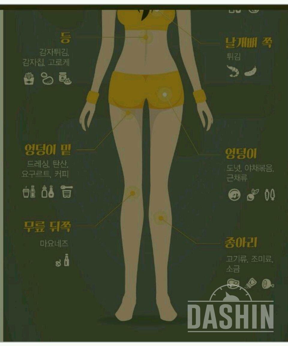 부위별 살찌는음식