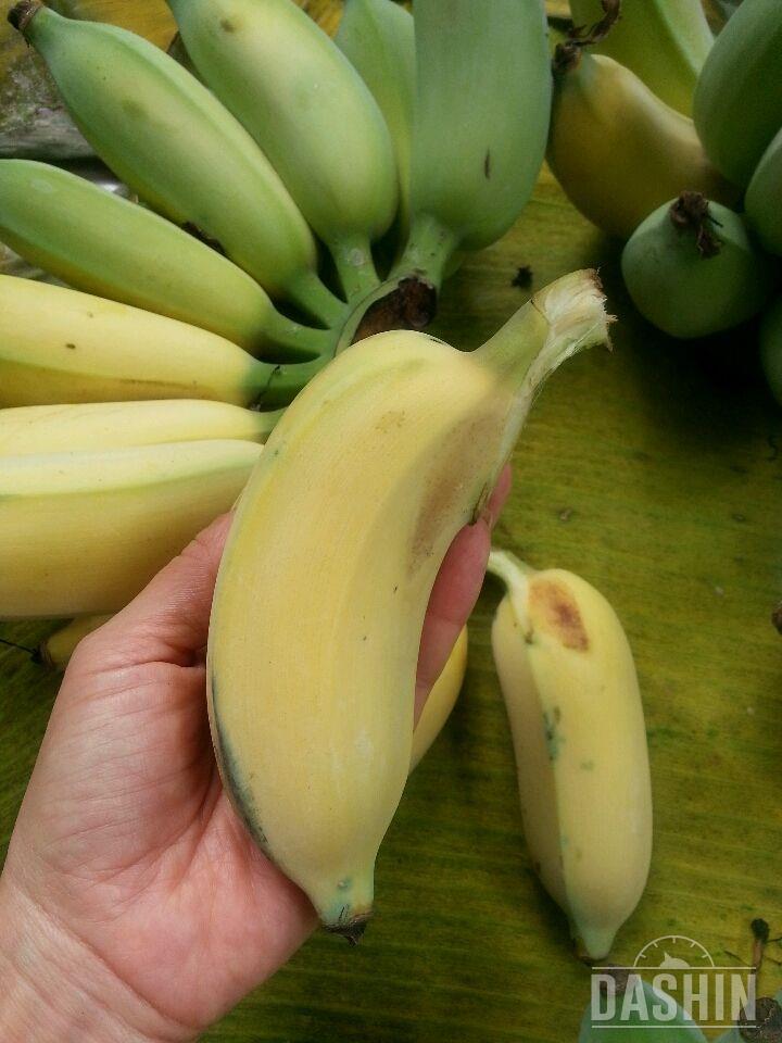 바나나~~^^