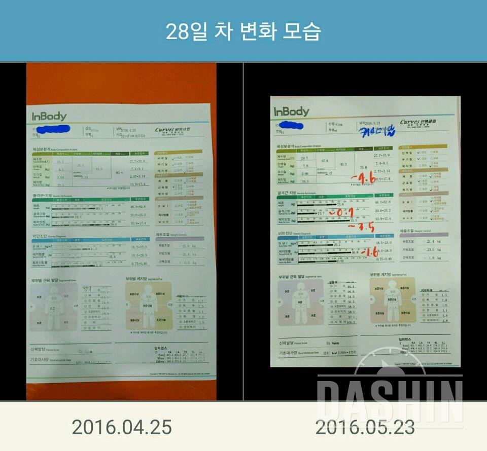 한달간 인바디 결과~~!!다시 새롭게 도전!!