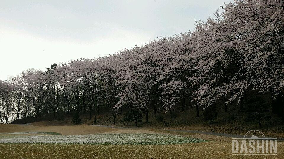 버핏+3 15회