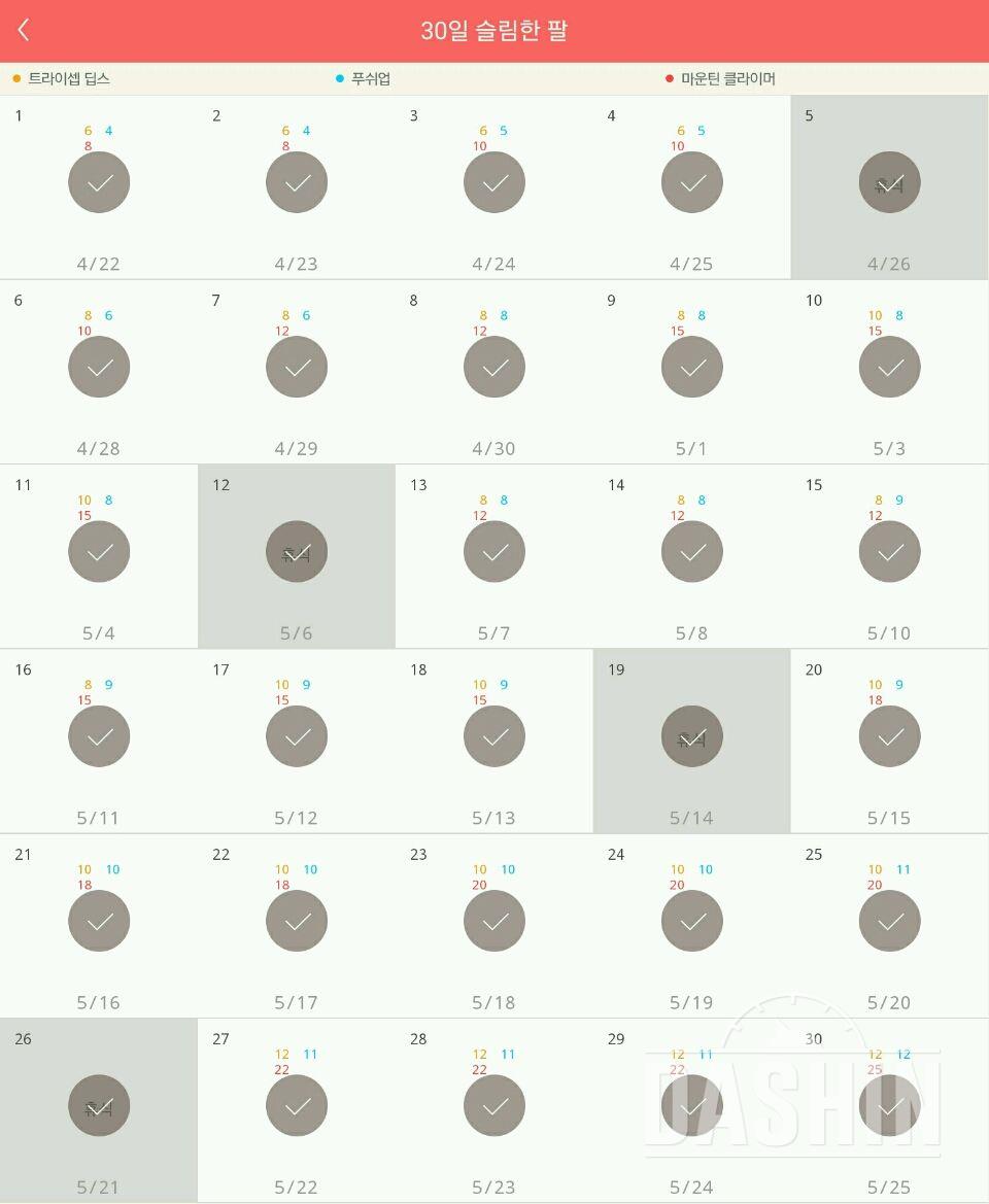 30일 슬림한 팔 30일차 성공!