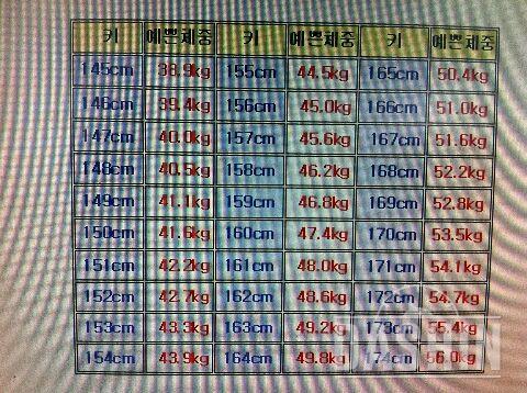 정상체중:이쁜체중