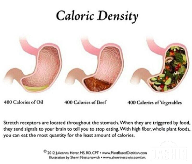 같은 칼로리의 음식이 주는 포만감의 차이!