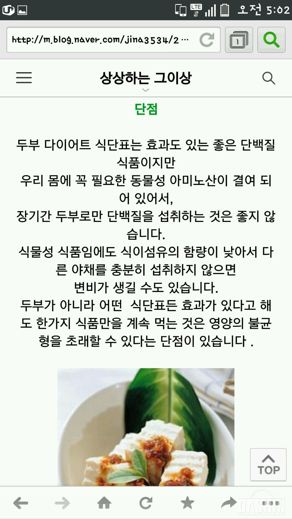 두부다이어트<두부쉐이크 두부다이어트장점단점>