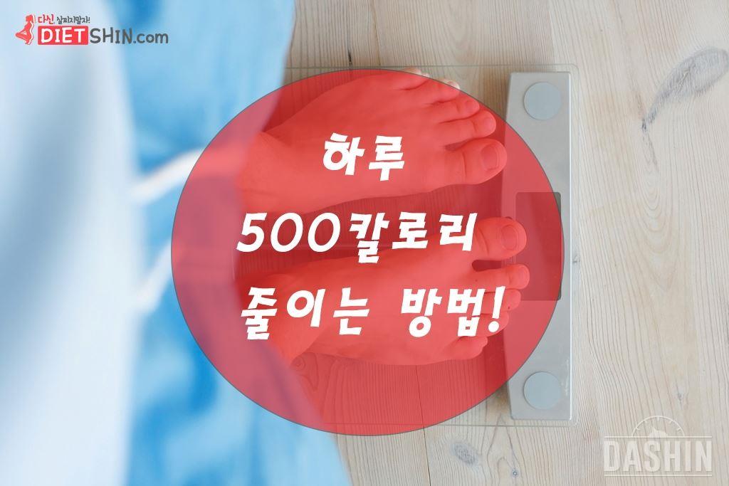 하루 500칼로리 줄이는 4가지 방법