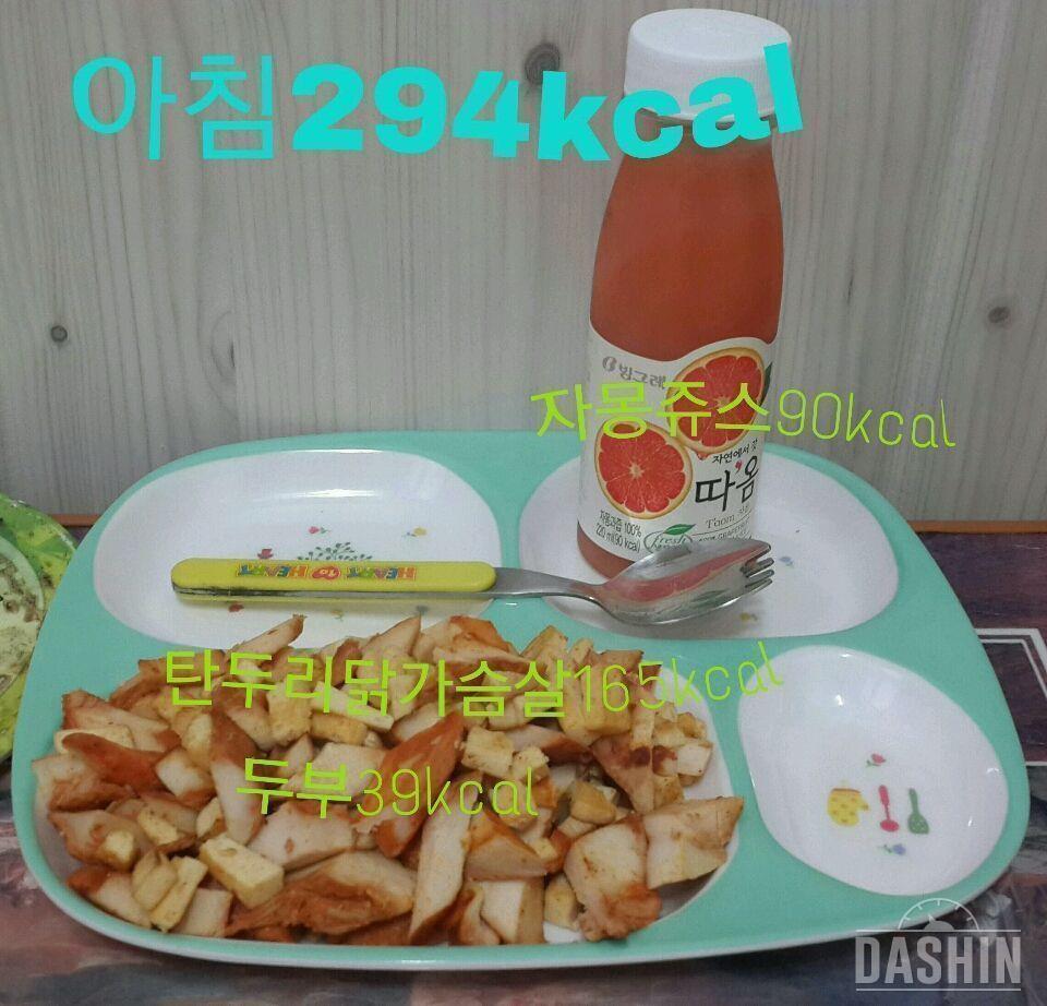 온레이 : 1000kcal 4일차(총736kcal)