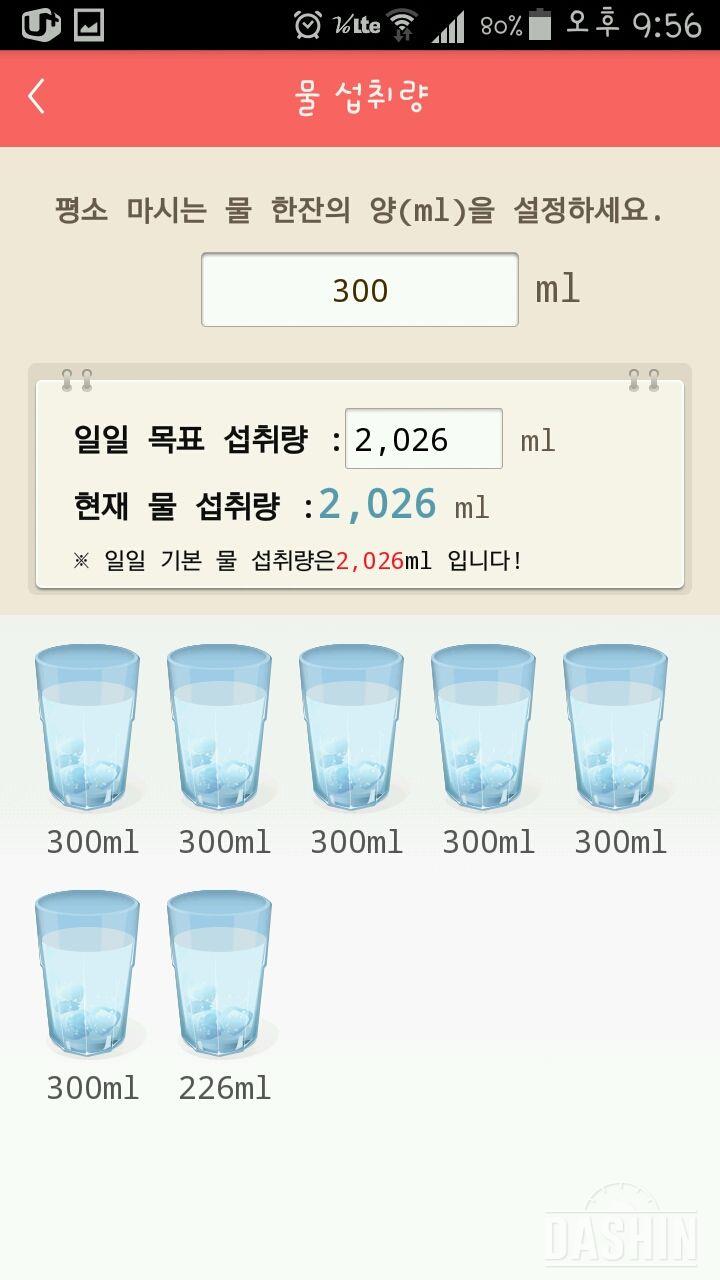 30일 하루 2L 물마시기 13일차 성공!