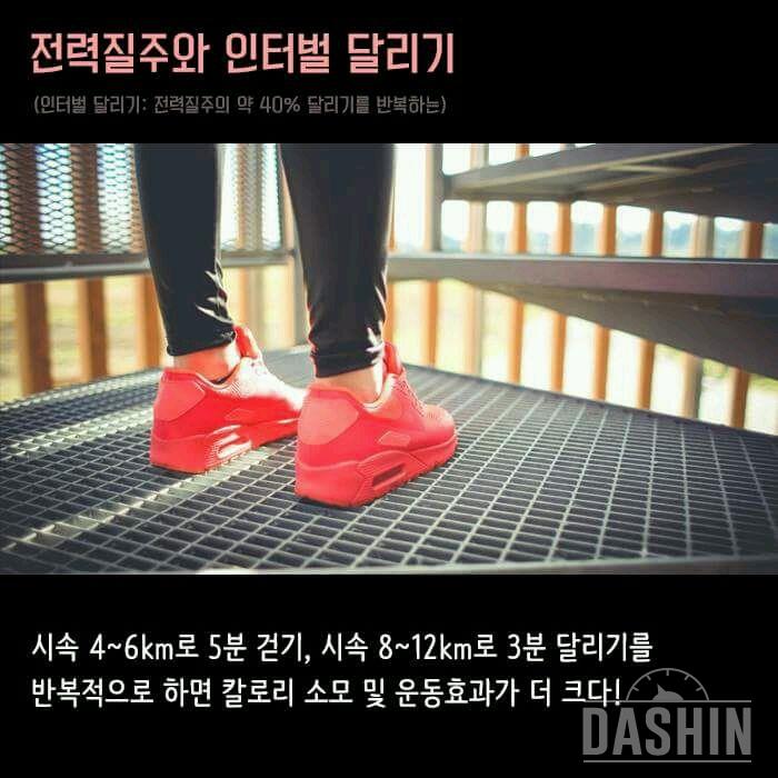 💪효과적으로 운동하는 헬스장 꿀팁