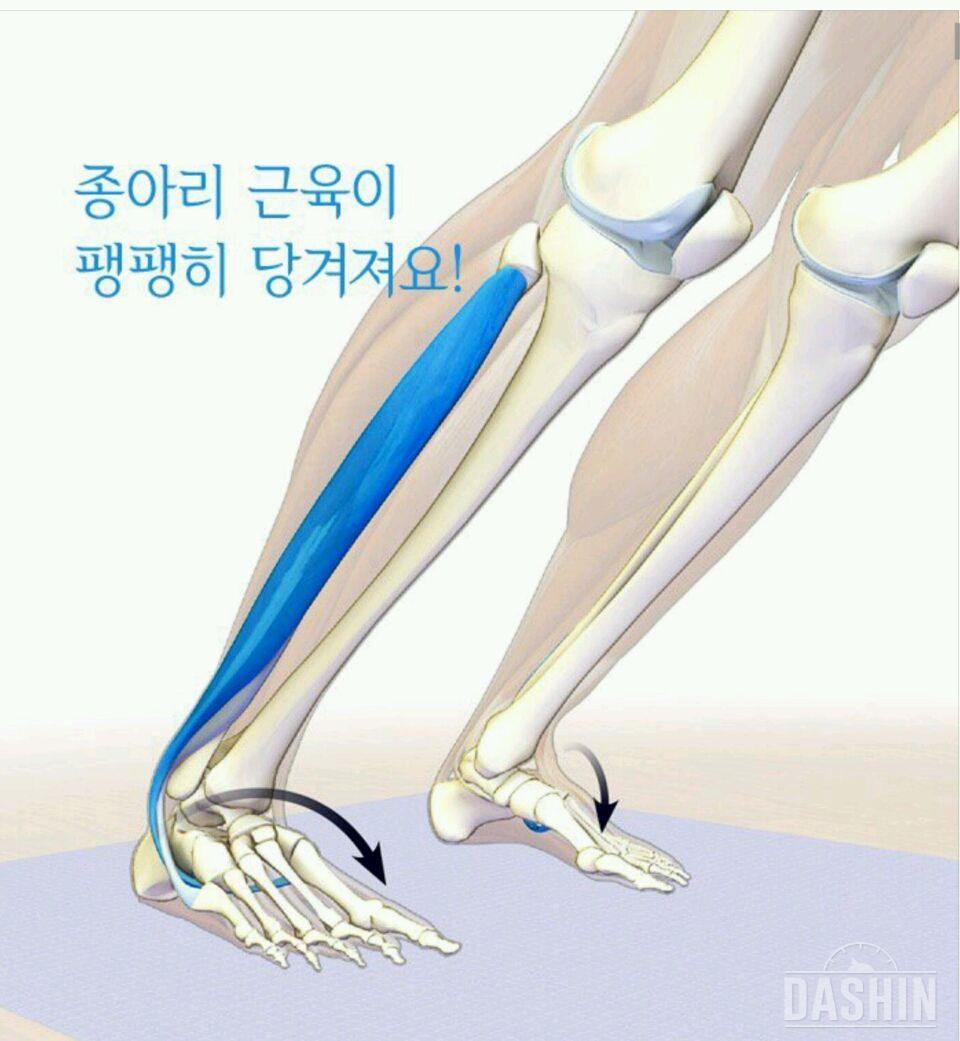 종아리여~일어나랏☆☞꿀팁☜☆