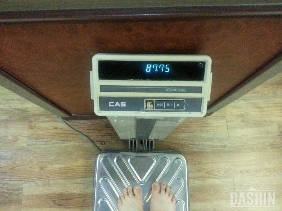 (고민 긴글주의)♡다이어트 129일째 87.7kg->67.8kg♡