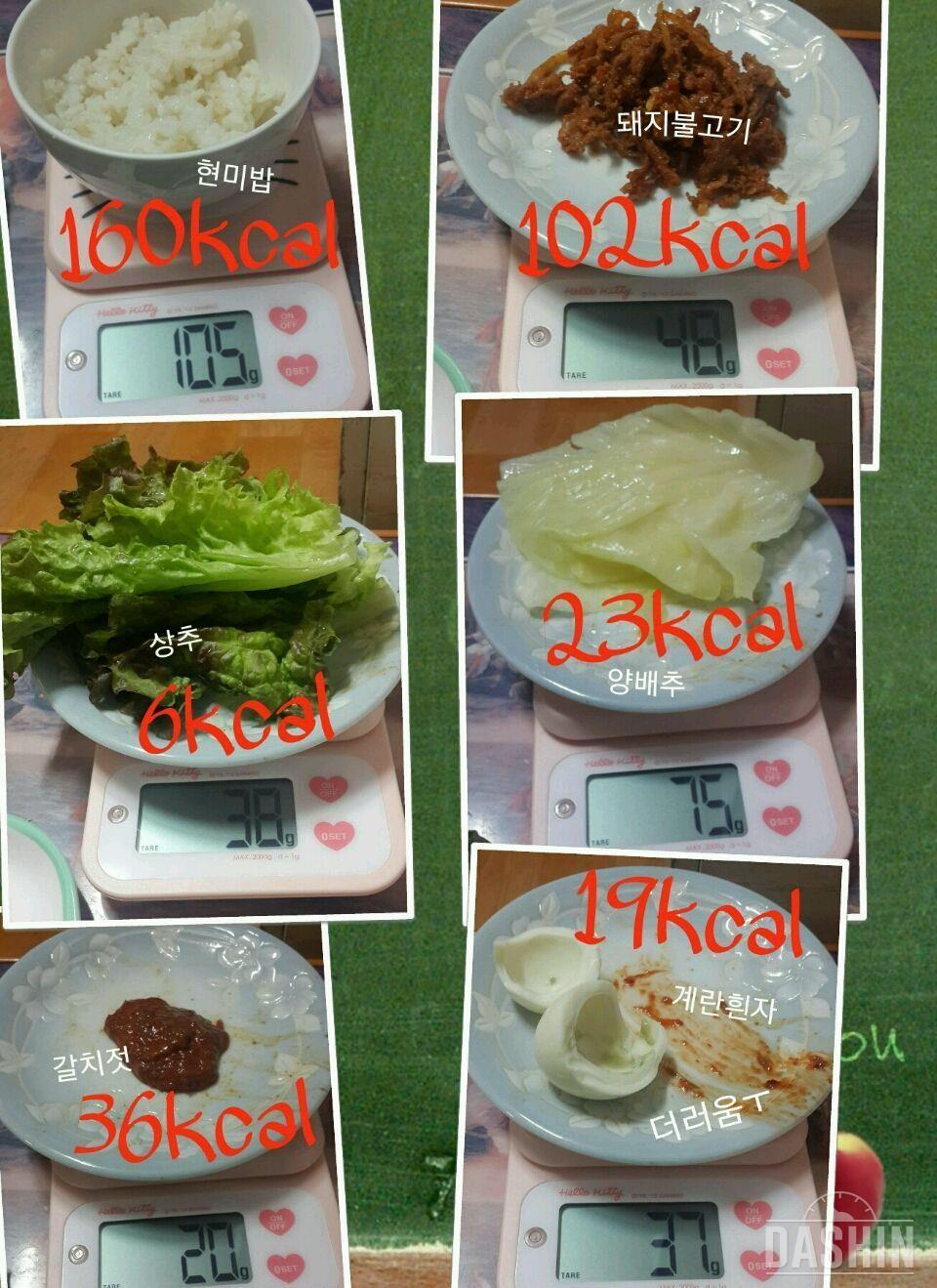 온레이 :  1000kcal 12일차(총957kcal)