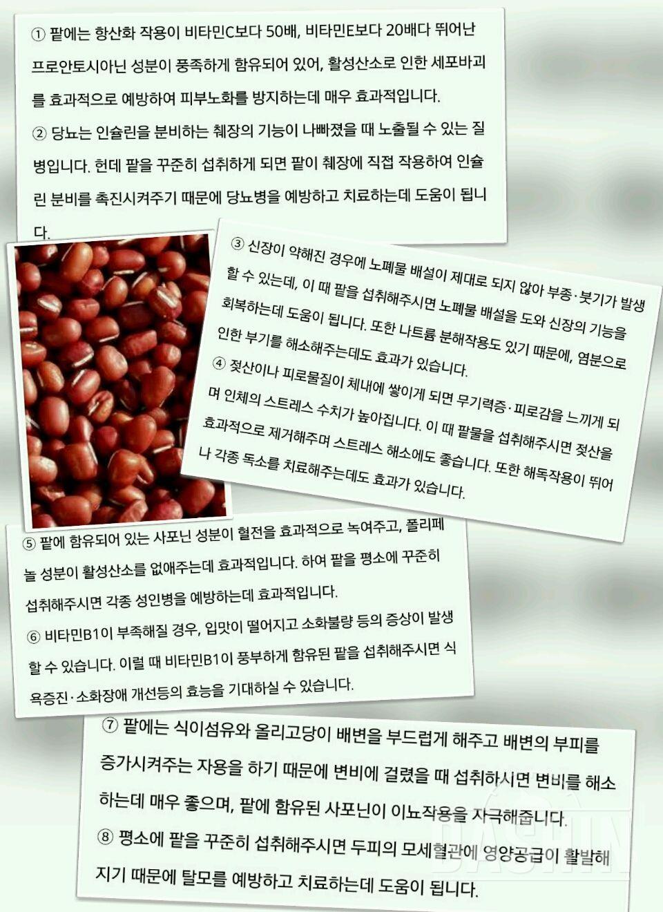 ✔소연이의 선택 팥워떠, 레몬워떠✔☞최종후기