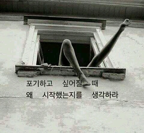 너무 피곤해서 그냥 자려다 이거보고..