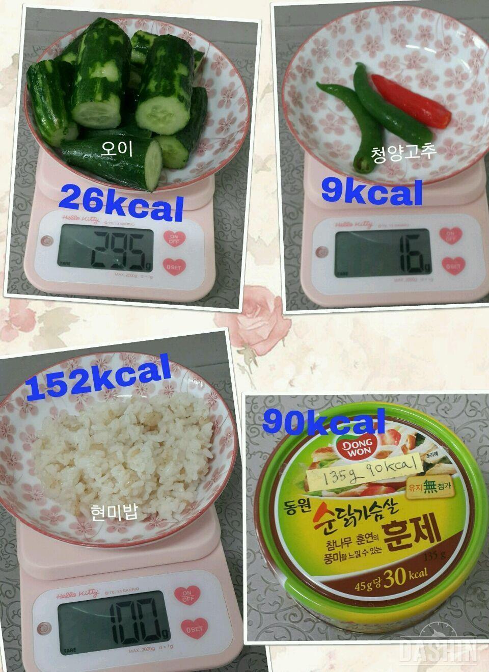 온레이 : 1000kcal 19일차(총838kcal)