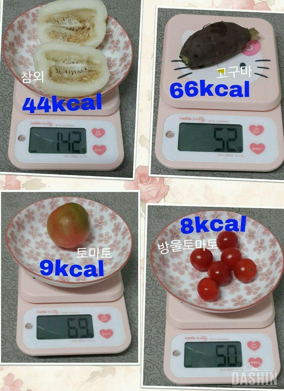 온레이 : 1000kcal 19일차(총838kcal)