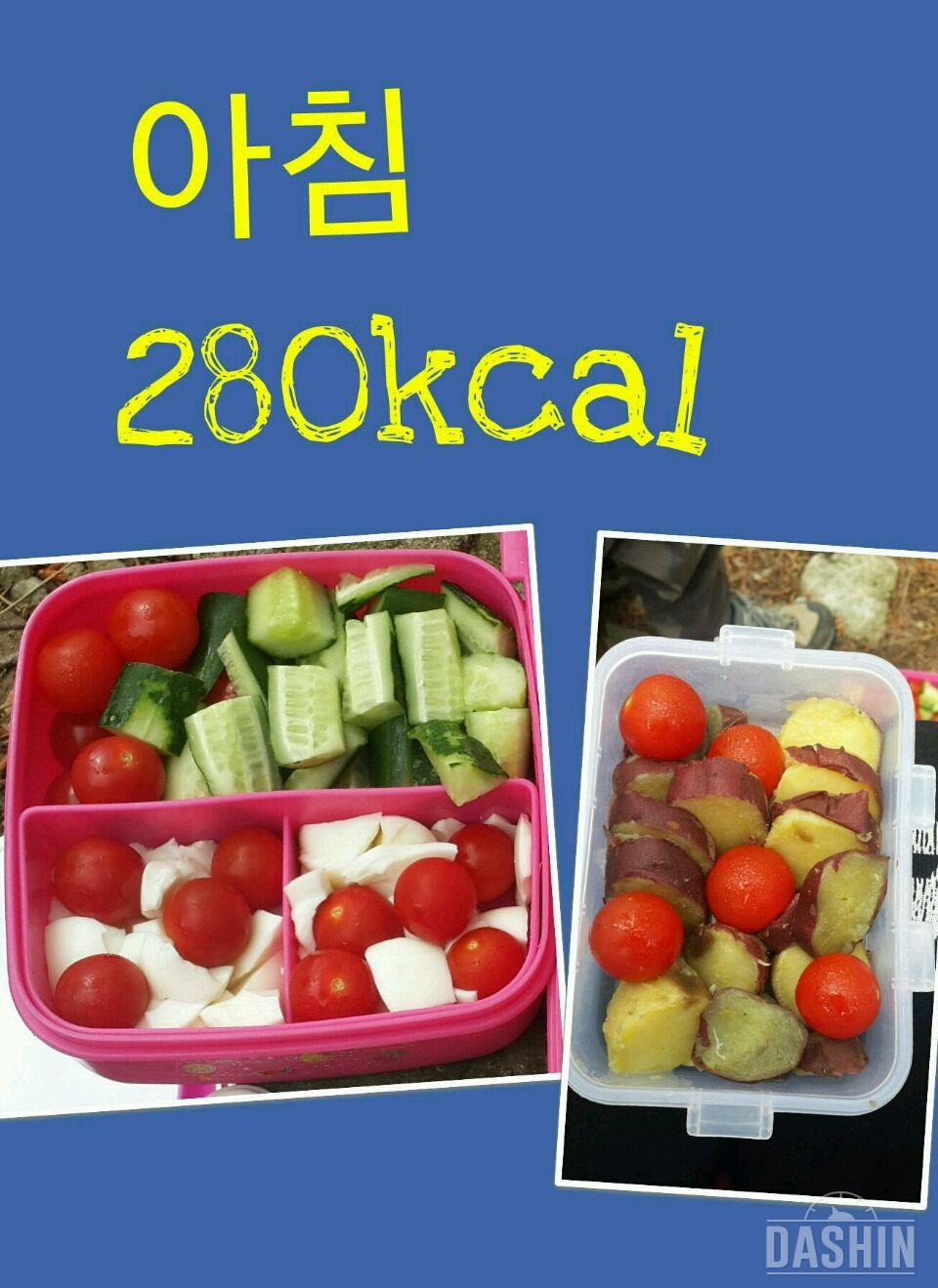 온레이 : 1000kcal 20일차(총919kcal)