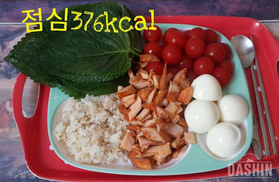 온레이 : 1000kcal 20일차(총919kcal)