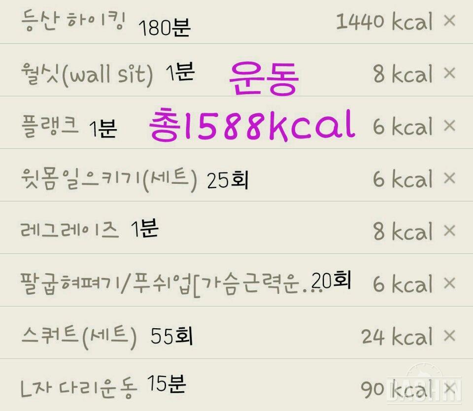 온레이 : 1000kcal 20일차(총919kcal)