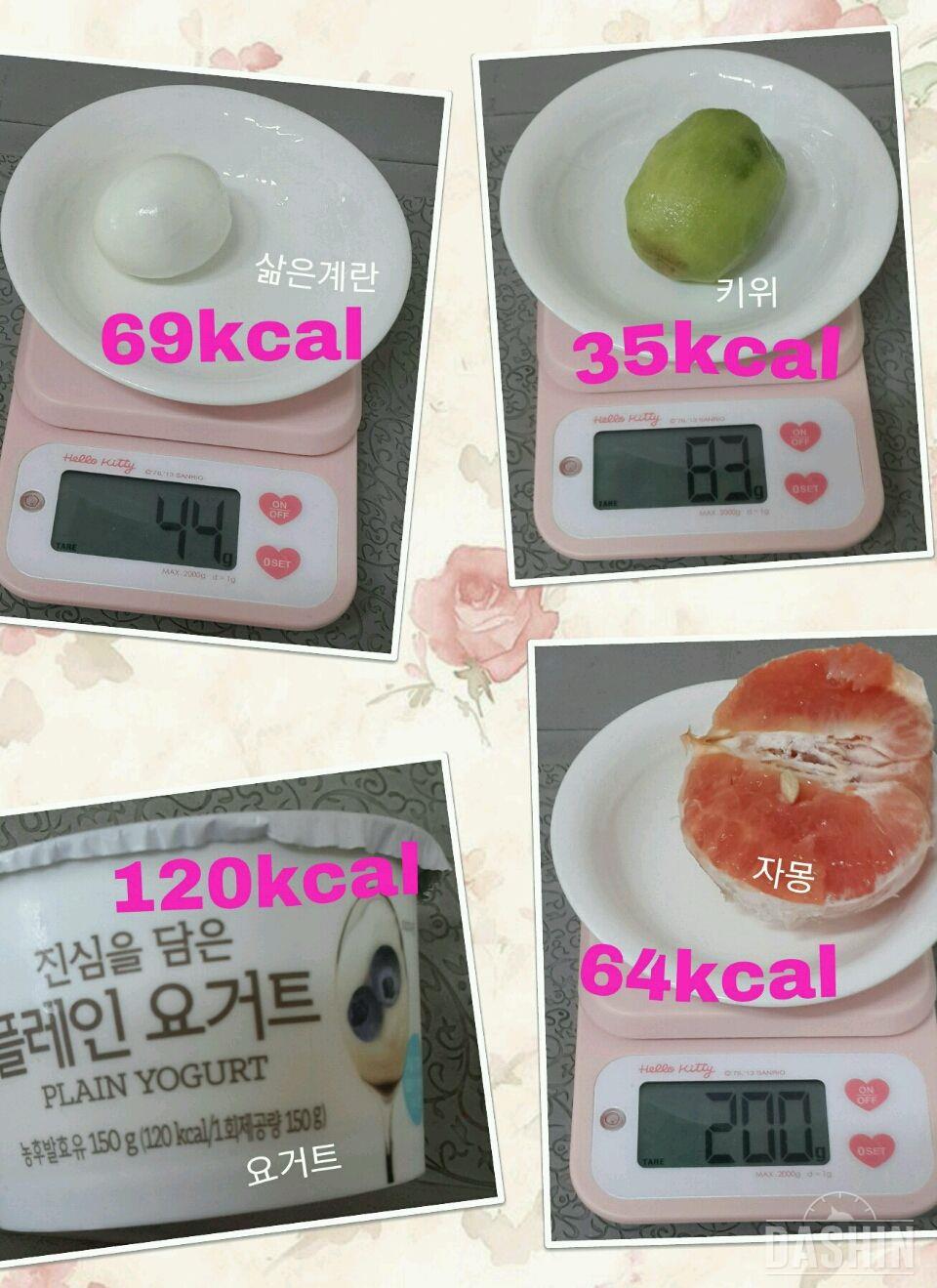 온레이 : 1000kcal 21일차(총859kcal)