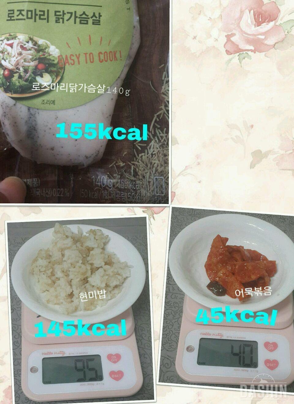 온레이 : 1000kcal 22일차(총925kcal)