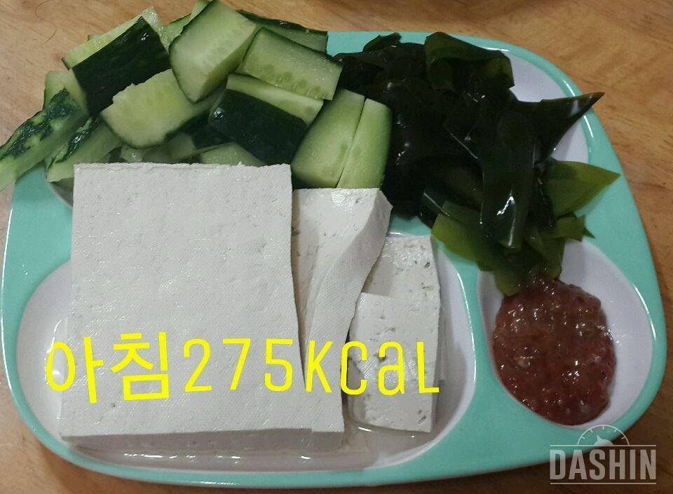 온레이 : 1000kcal 23일차(총839kcal)