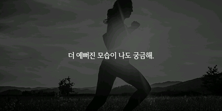 오늘 피키에 올라온 다이어트 자극 말들