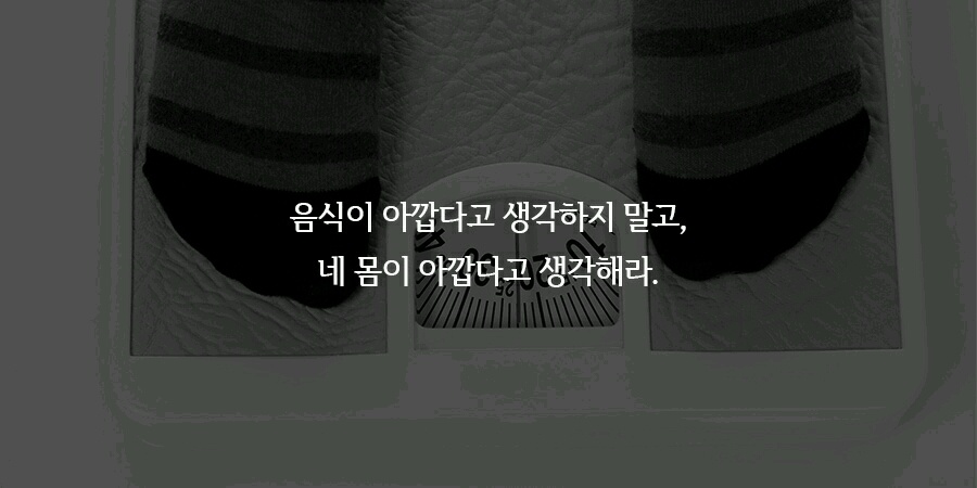 오늘 피키에 올라온 다이어트 자극 말들