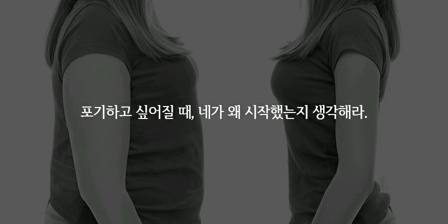 오늘 피키에 올라온 다이어트 자극 말들