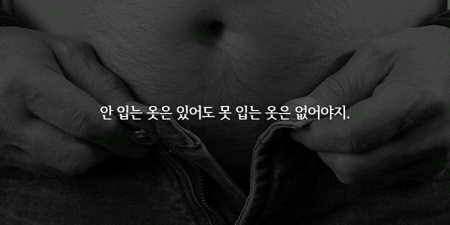 오늘 피키에 올라온 다이어트 자극 말들