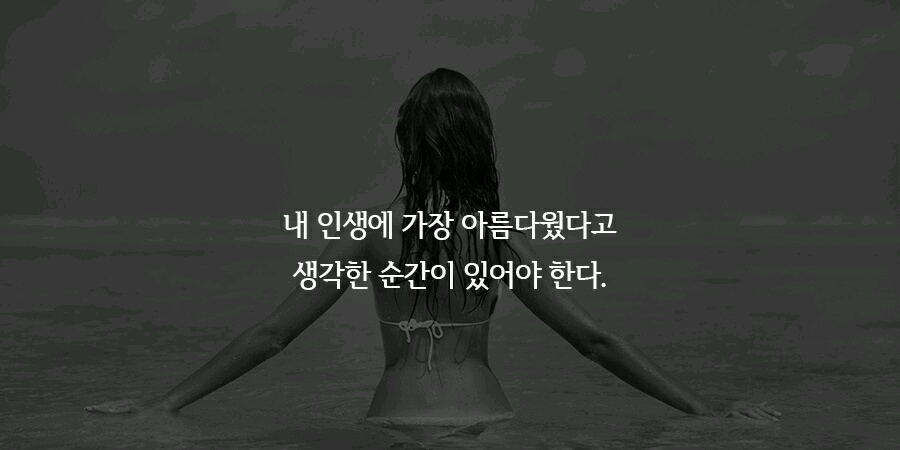 오늘 피키에 올라온 다이어트 자극 말들