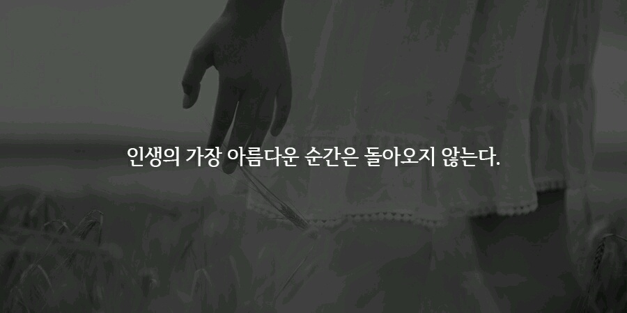 오늘 피키에 올라온 다이어트 자극 말들