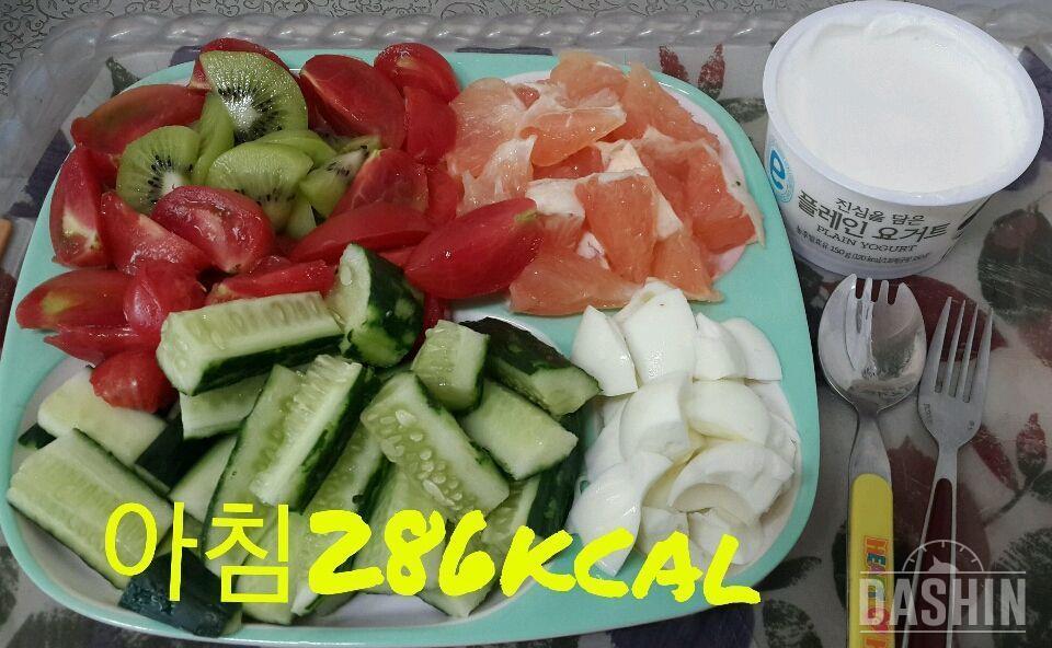 온레이 :  1000kcal 24일차(총992kcal)