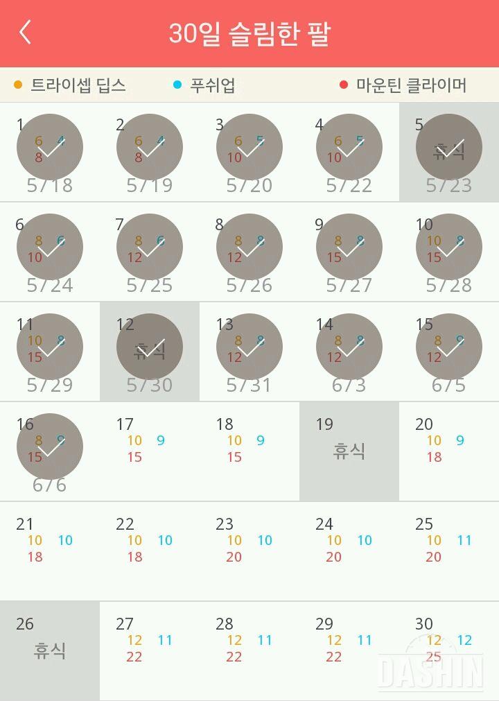 30일 슬림한 팔 16일차 성공!