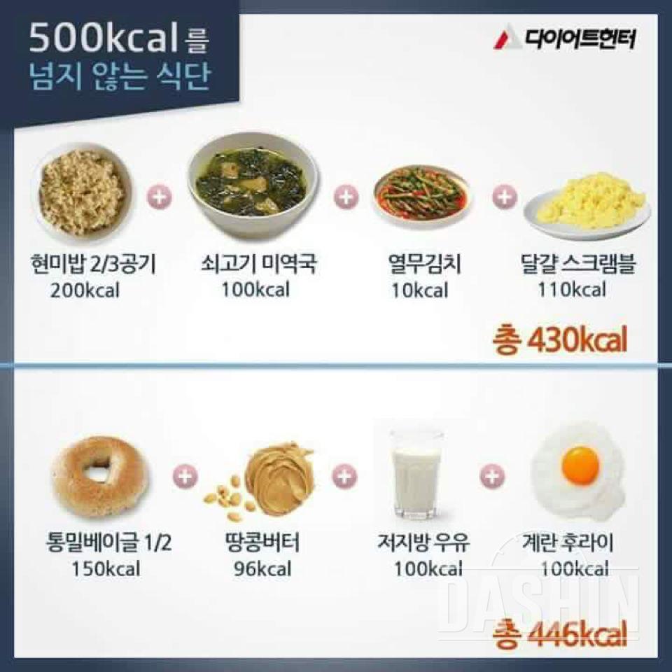 500칼로리를 넘지 않는 식단!