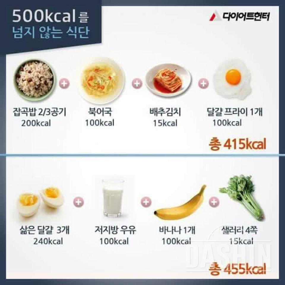 500칼로리를 넘지 않는 식단!