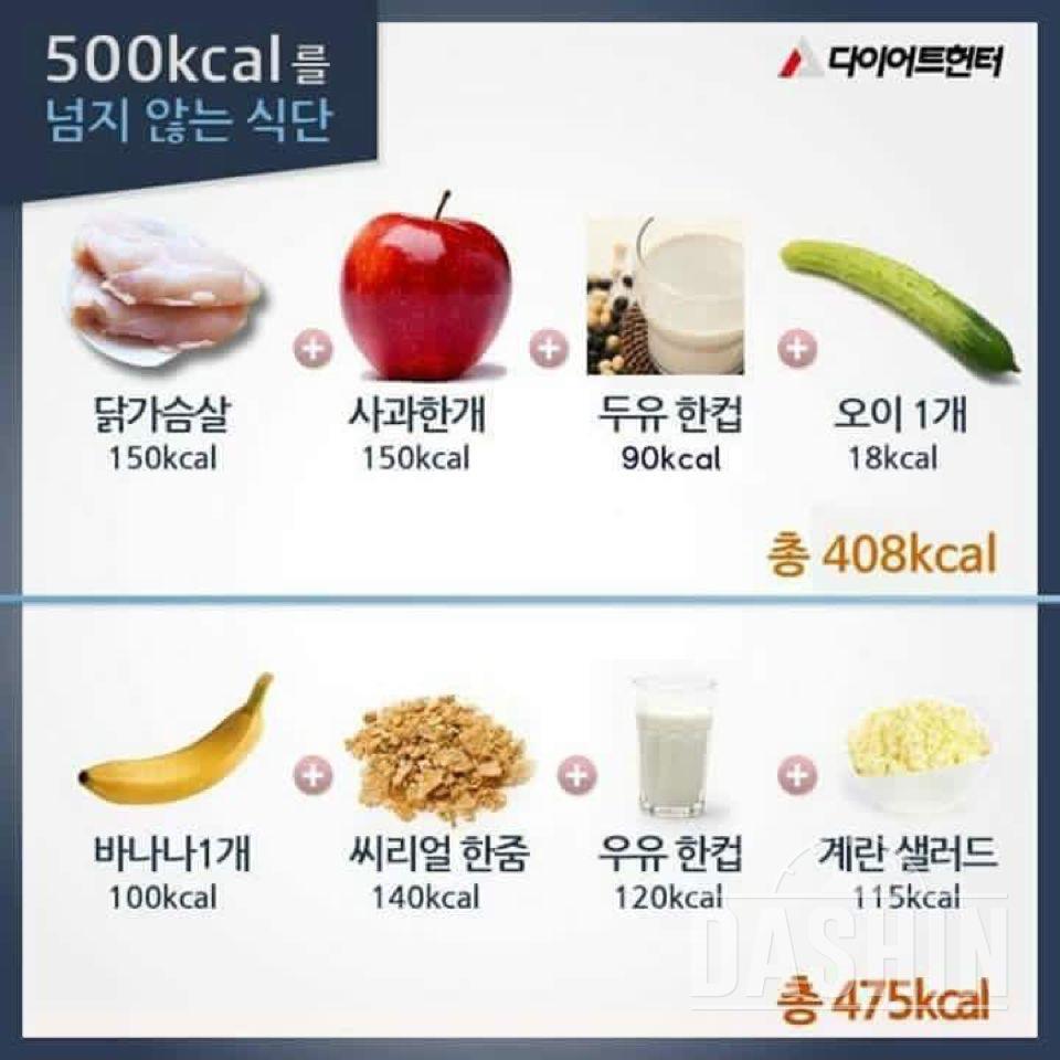 500칼로리를 넘지 않는 식단!