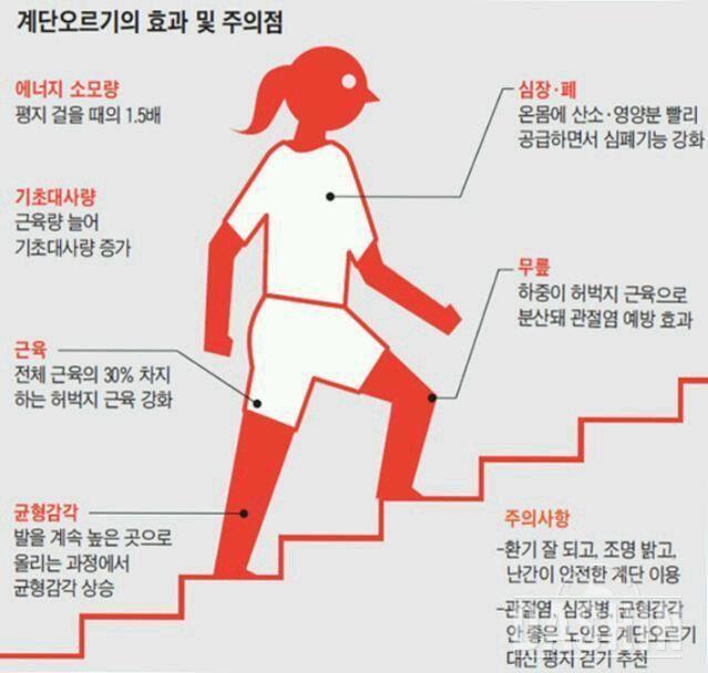 계단 운동의 효과 및 주의점